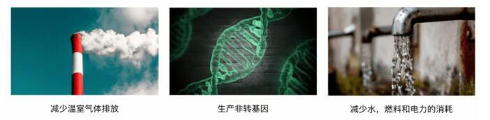 與碳相關(guān)的認(rèn)證