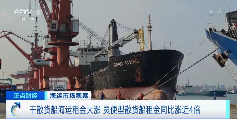 創(chuàng)13年新高,干散貨船海運租金大漲