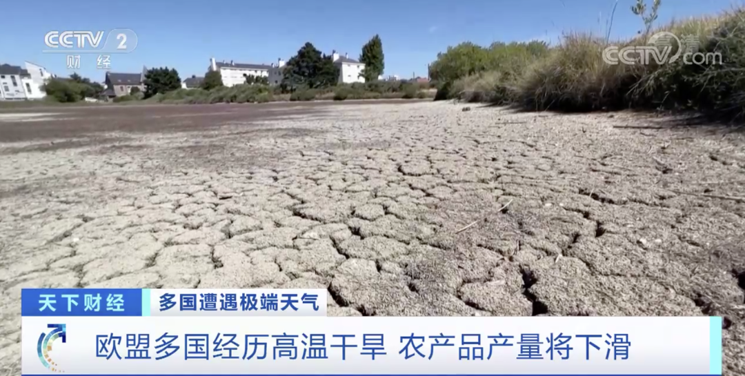 突發(fā)！國(guó)外一電商平臺(tái)公司倉(cāng)庫(kù)起火致1死13傷！