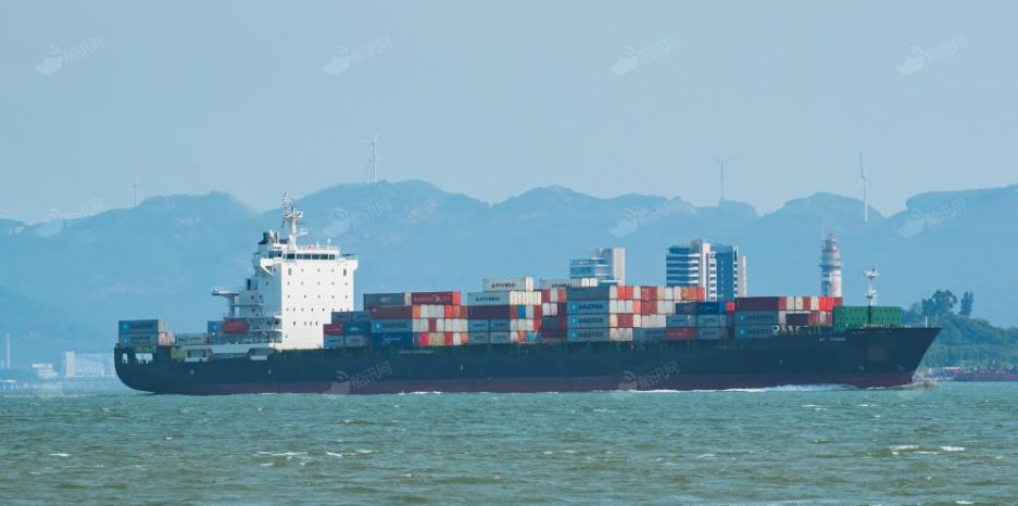 快訊！222米長箱船在浙江海域撞沉另一船