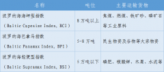 波羅的海干散貨指數(shù)（BDI）